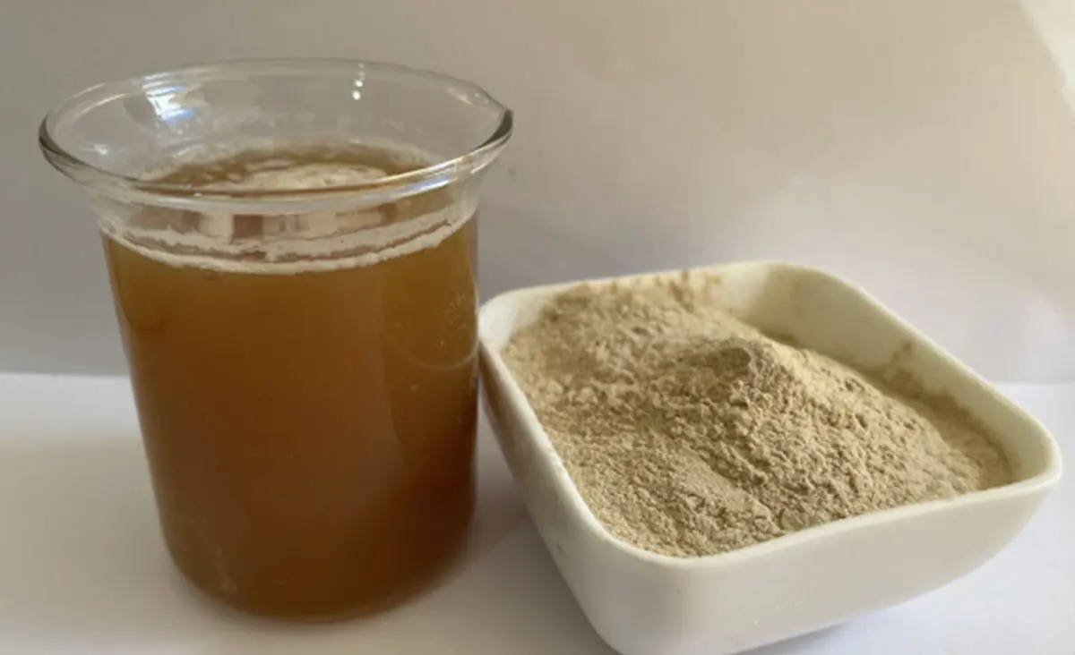Amino acid chelated iron