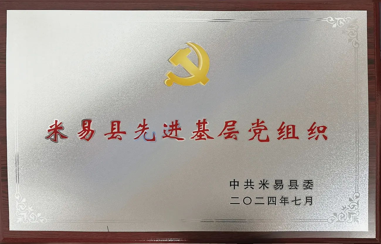 年先进基层党组织