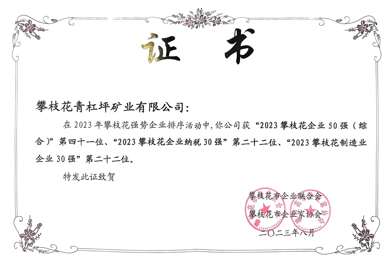 年攀枝花企业50强