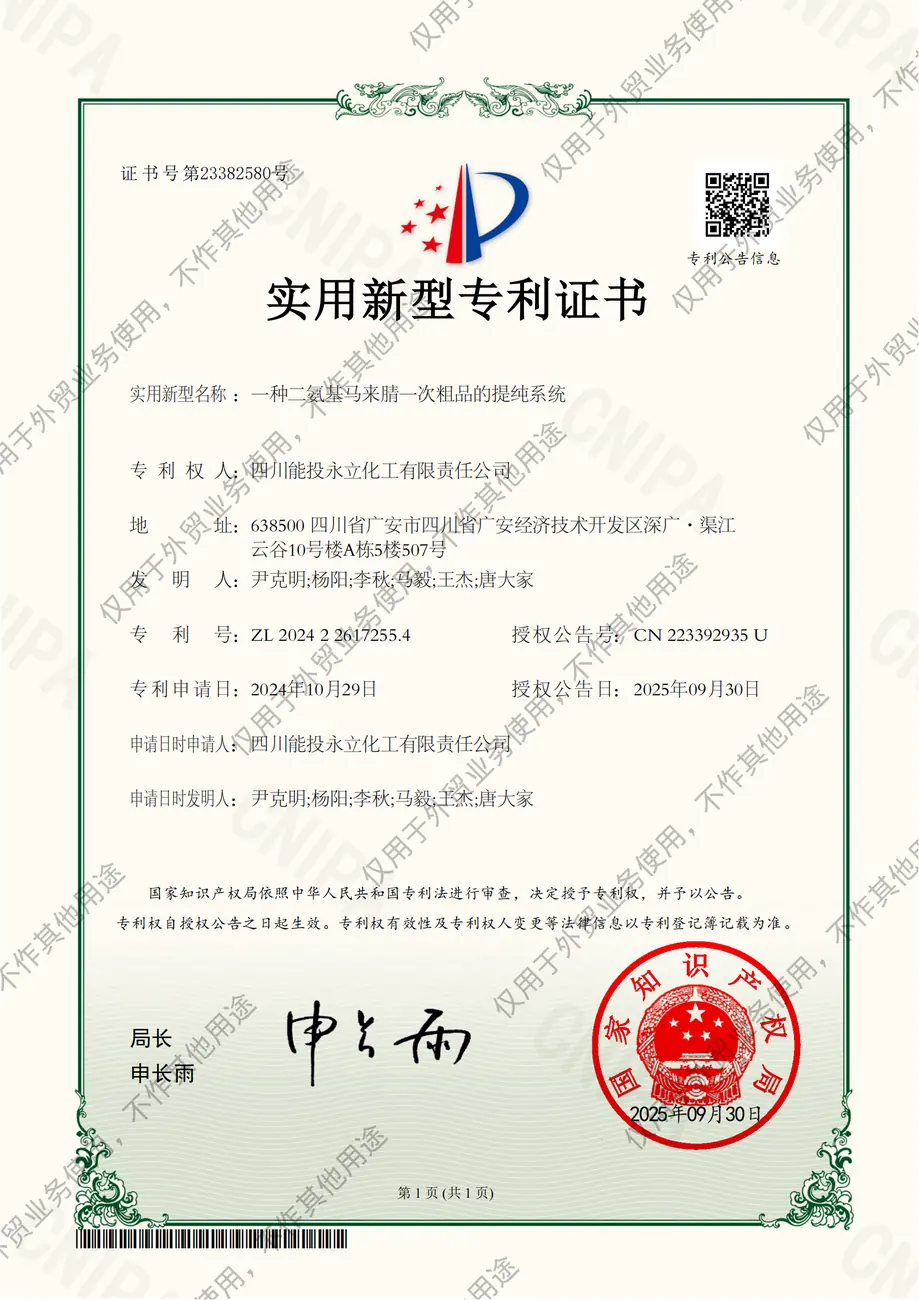 一种二氨基马来腈一次粗品的提纯系统实用新型专利证书(签章)_01